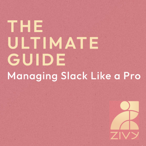 Slack Guide Zivy